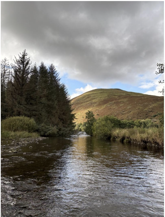 Screenshot 2025-10-31 at 18.40.39.png