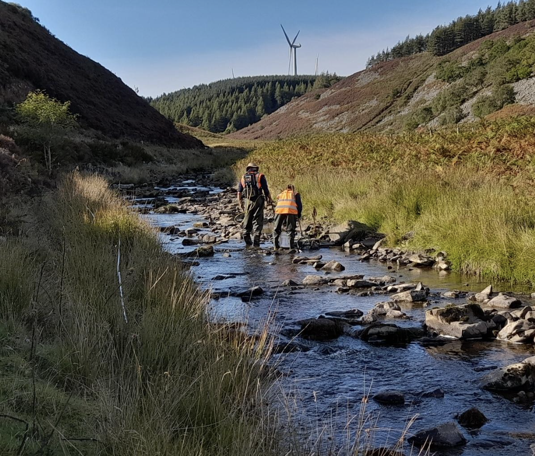 Screenshot 2025-10-08 at 20.09.53.png (1)