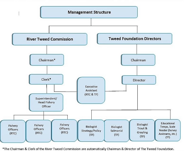 tweed-commission-management-structure.jpg